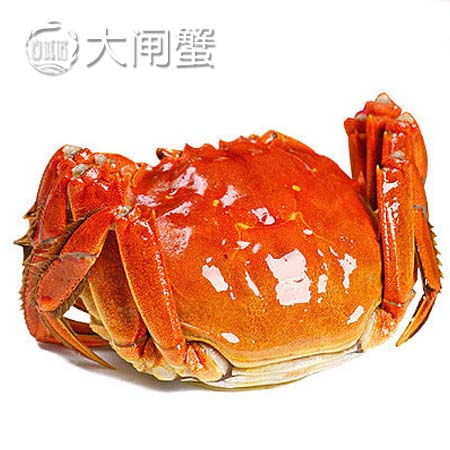 高淳固城湖螃蟹节品鉴推介会
