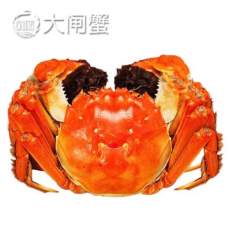天猫生鲜与固城湖大闸蟹合作