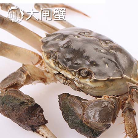 好蟹还需等一等，固城湖大闸蟹进入最后一次蜕壳