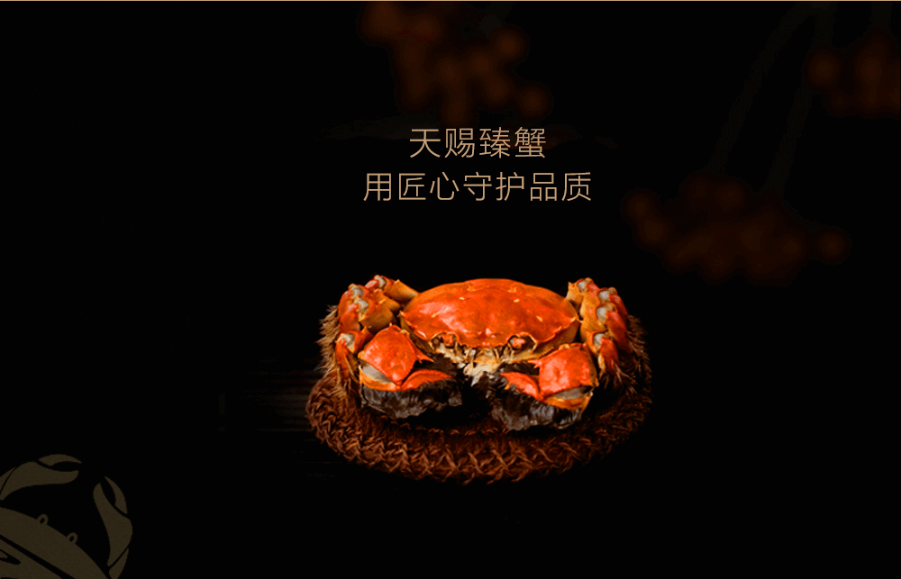 1002.png