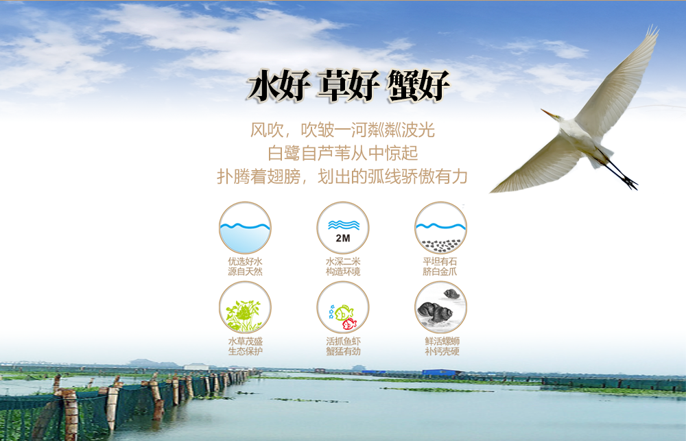 匠心3.png